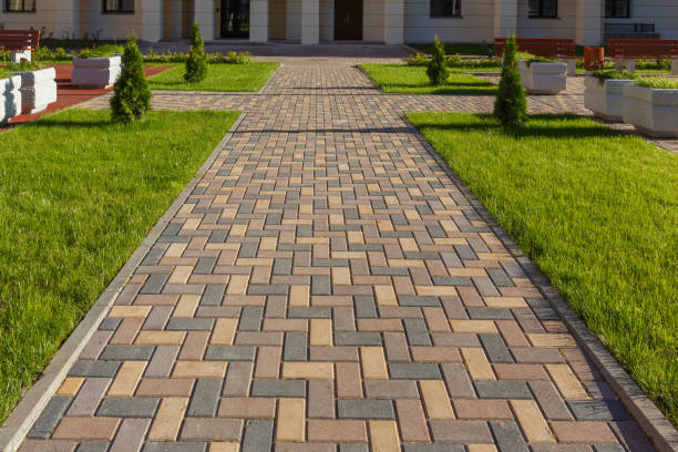 Best Affordable Driveway Paving  in Clemson University, SC