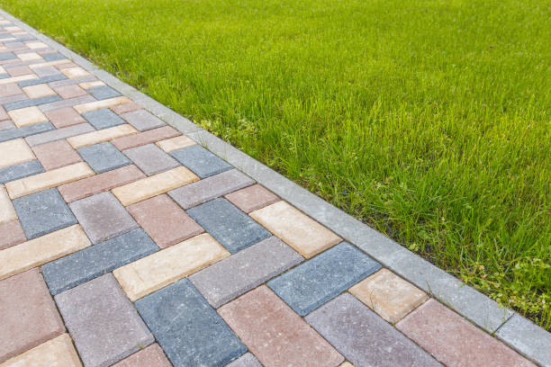 Best Professional Driveway Pavers  in Clemson University, SC